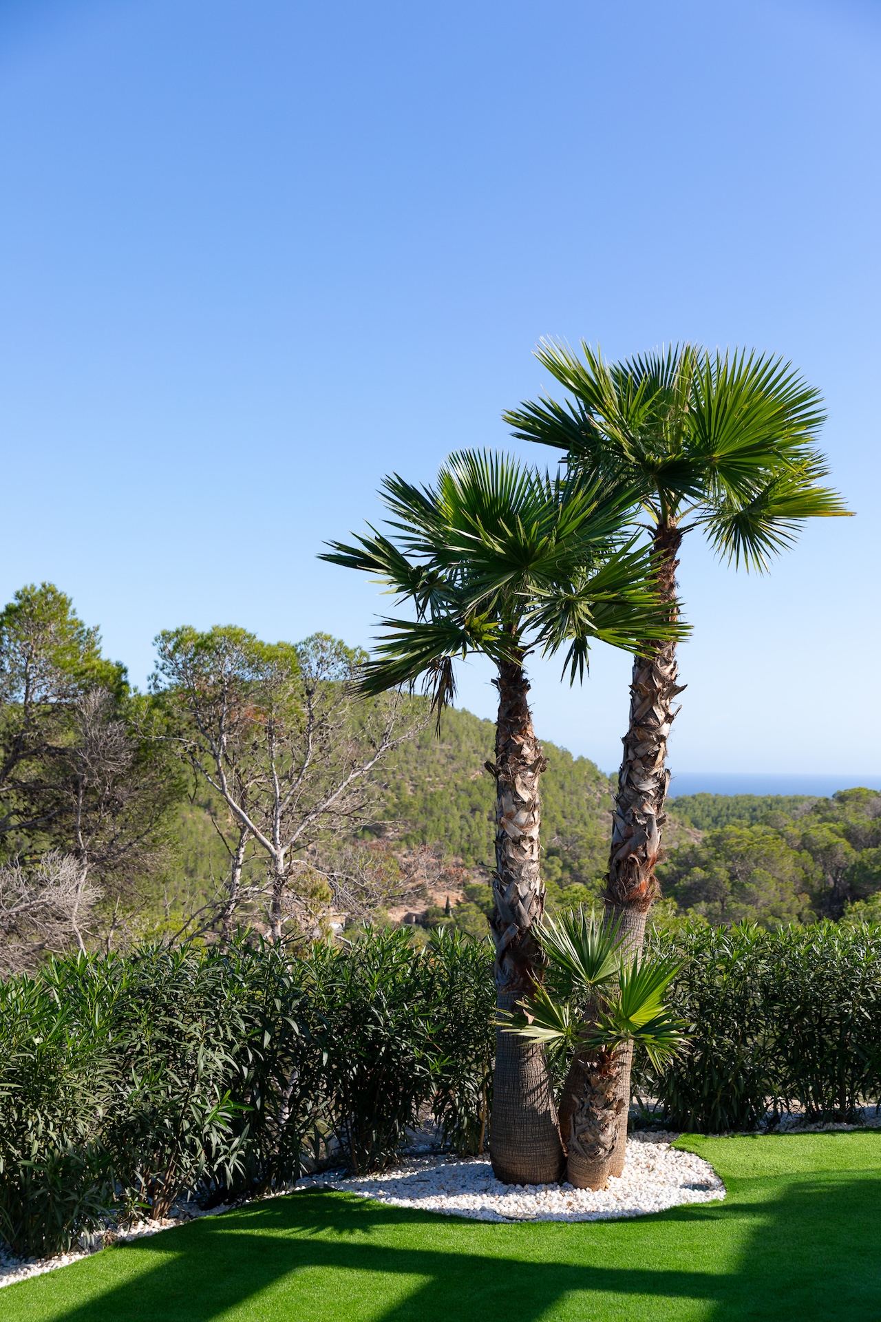 Resa Estates for sale Ibiza Vlla Aixa te koop sale lift sea views exterior garden.jpg